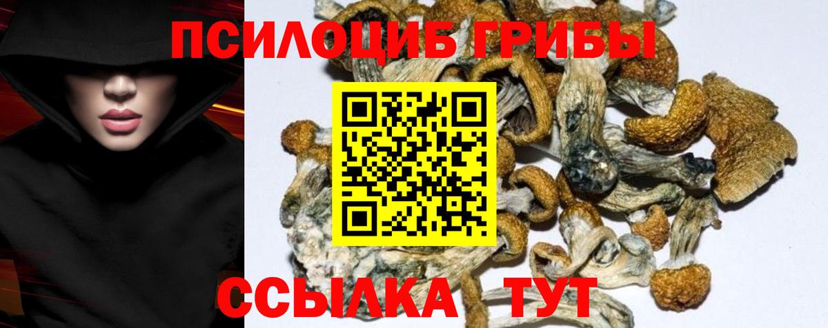 хочу   Галлюциногенные грибы прущие грибы  Галлюциногенные грибы MAGIC MUSHROOMS  Вход с VPN  Холмск 